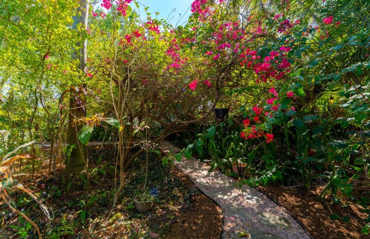 Lantana - Full remodel, decoration & landscaping, photo 9