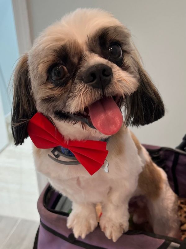 Basil, Team Mascot